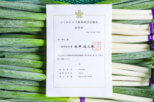 みやび農園の新鮮なネギの上に配置された、令和7年3月18日付けの『ふくおかエコ農産物認証制度 認定証』