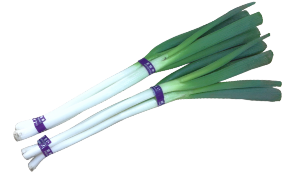 miyabinouen-tacchan-negi-products.png
